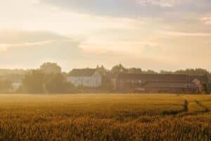 crop field with houses in the distance with a white haze or fog enveloping everything